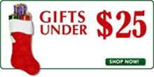 Gifts under  $25